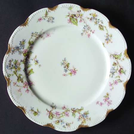 Schleiger 232-1 by Haviland