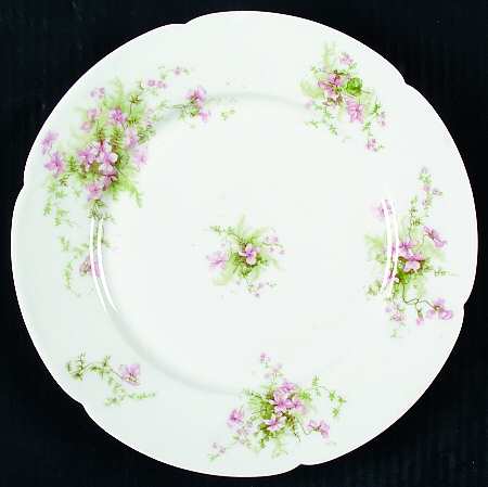 Schleiger 157-10 by Haviland