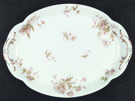 Schleiger 79-5 by Haviland