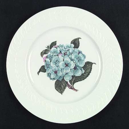 Hydrangea by Haviland