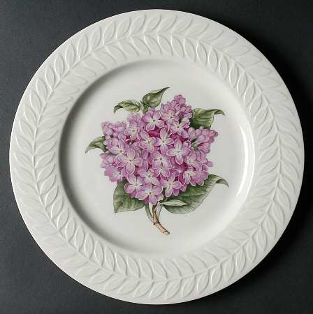 Lilac by Haviland