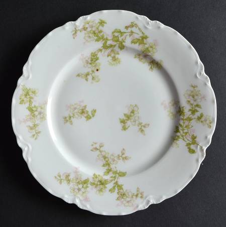 Montebello Salad Plate by Haviland