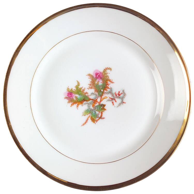 Moss Rose (Thick Gold Trim) Salad Plate