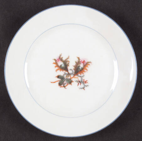 Moss Rose (Blue Trim) by Haviland