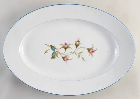 Moss Rose (Blue Trim) 20" Oval Serving Platter