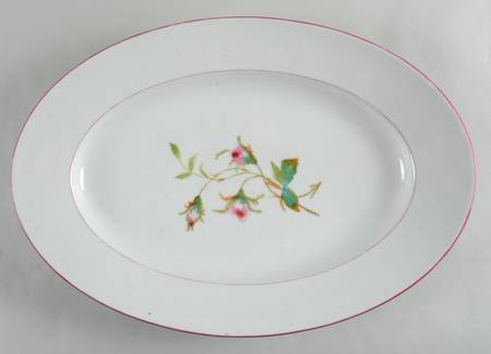 Moss Rose (Pink Trim, Smooth) 20" Oval Serving Platter