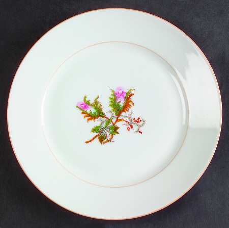 Moss Rose (Peach Trim) by Haviland
