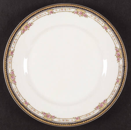 Paris Gold by Haviland