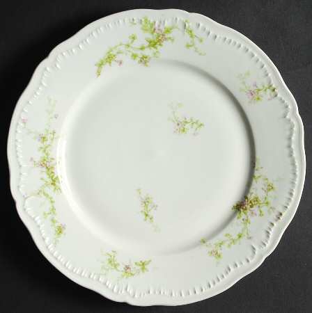 Schleiger 1024B by Haviland