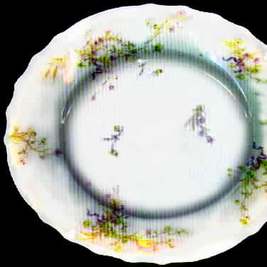 Schleiger 1025 Dinner Plate