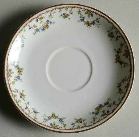 Schleiger 109C Saucer