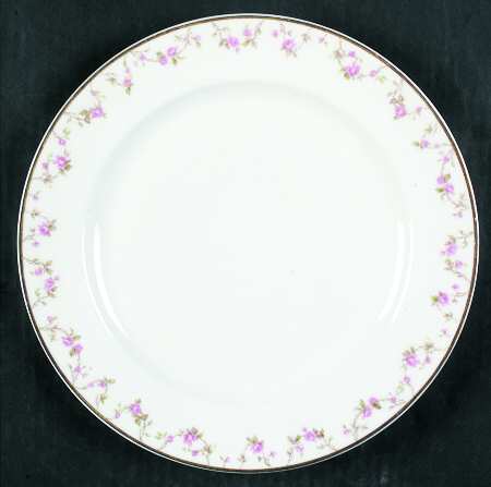 Schleiger 111A by Haviland