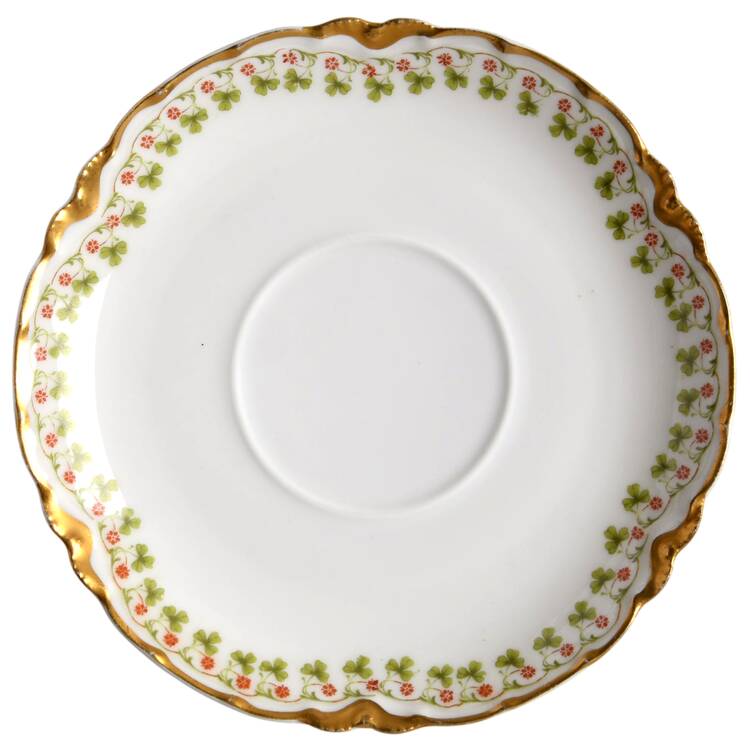 Schleiger 113A Saucer