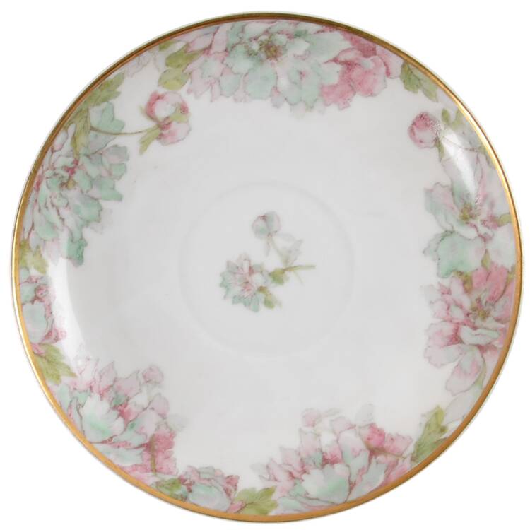 Schleiger 1153 Saucer