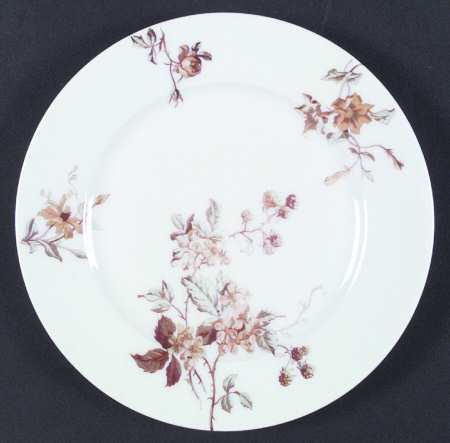 Schleiger 1154A by Haviland