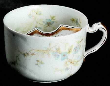 Schleiger 1167 by Haviland
