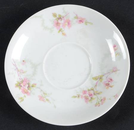 Schleiger 141 Saucer