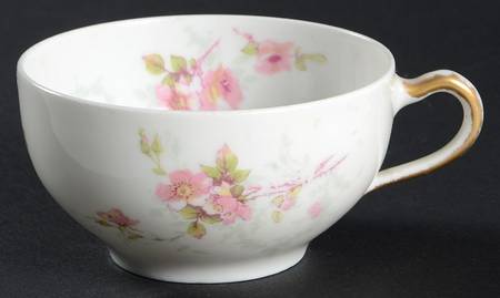 Schleiger 141 Flat Cup