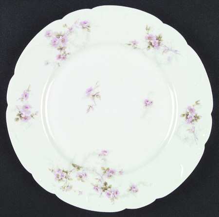Schleiger 141a by Haviland