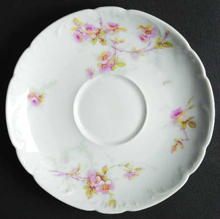 Schleiger 141a Saucer