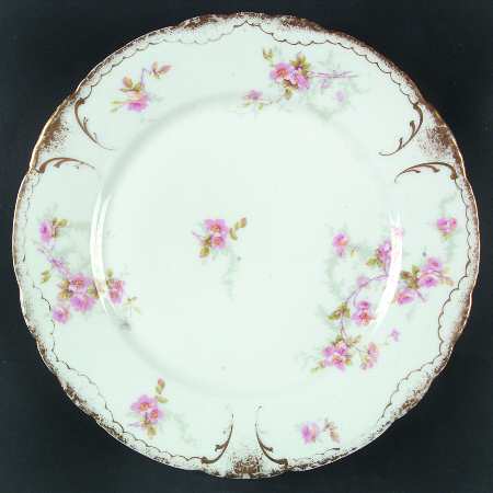 Schleiger 141D by Haviland