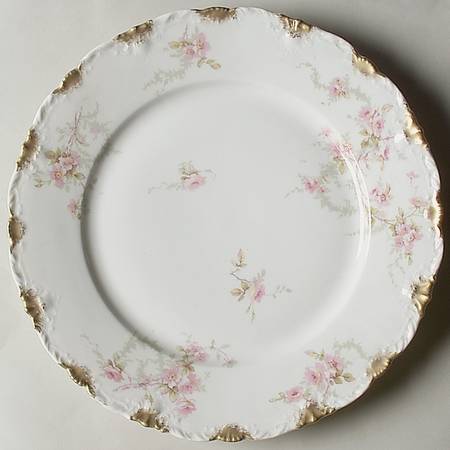 Schleiger 141E by Haviland