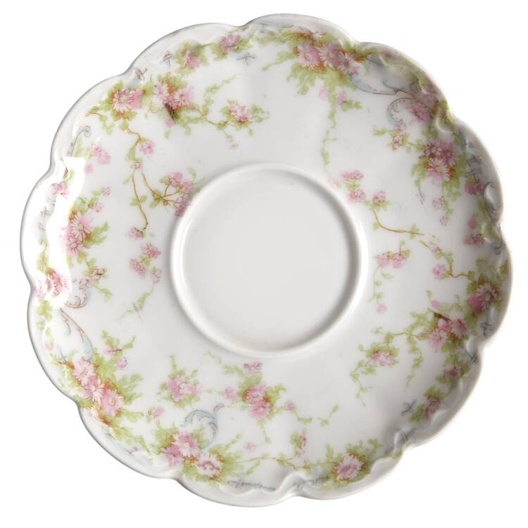 Schleiger 142 Saucer