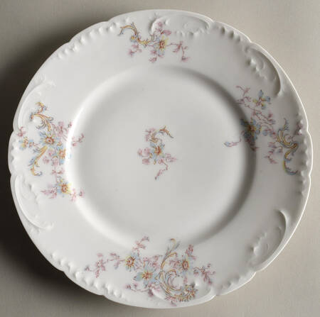 Schleiger 143b by Haviland