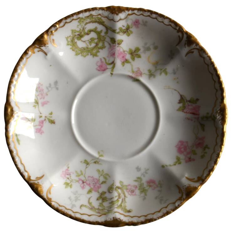 Schleiger 144F Saucer