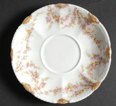 Schleiger 145 Saucer