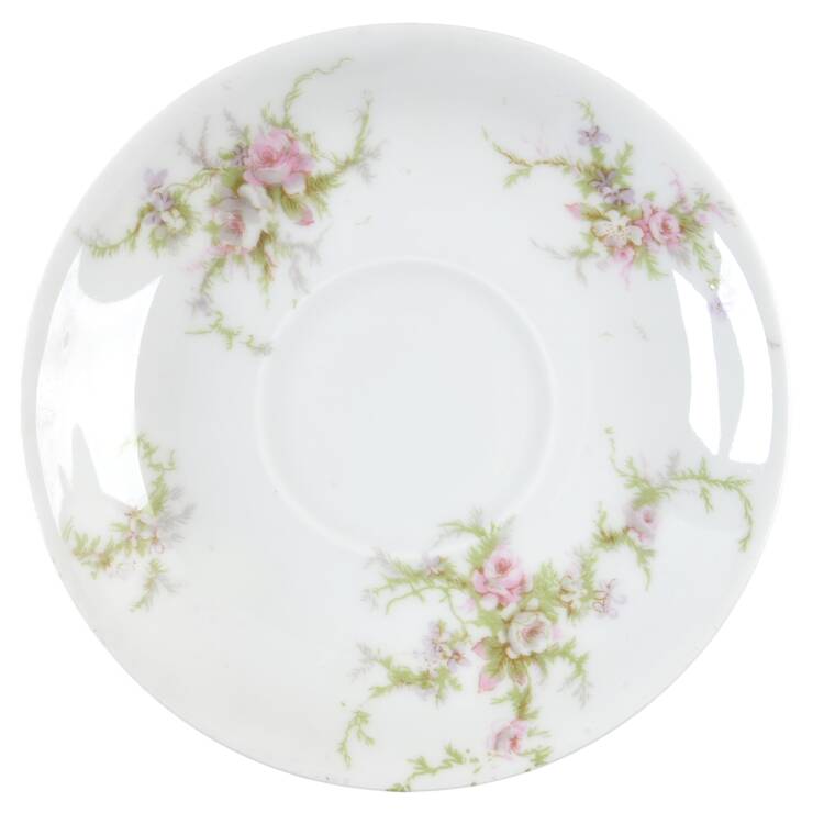 Schleiger 145a Saucer