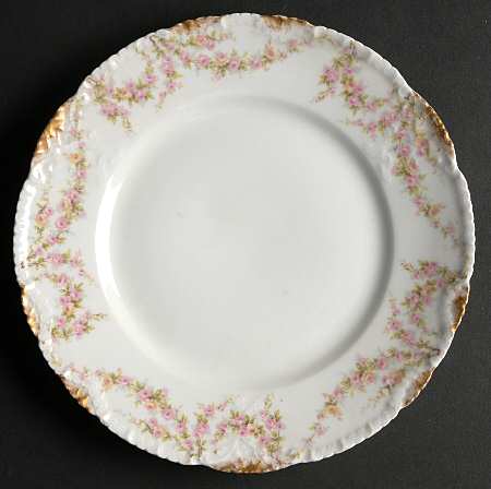 Schleiger 145c by Haviland