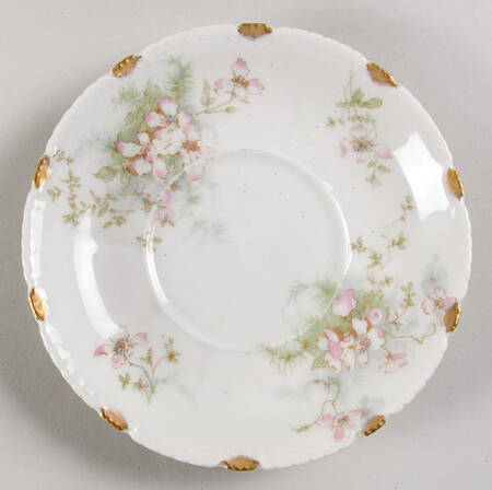 Schleiger 146 Saucer