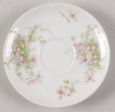 Schleiger 146A Saucer