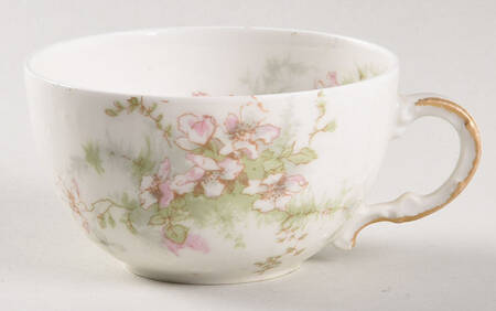 Schleiger 146A Flat Cup