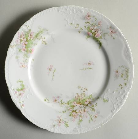 Schleiger 146B by Haviland