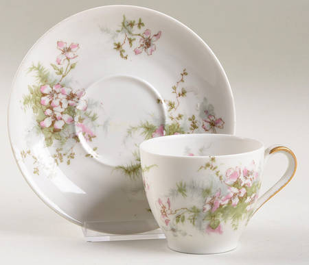 Schleiger 146D Flat Demitasse Cup & Saucer Set by Haviland