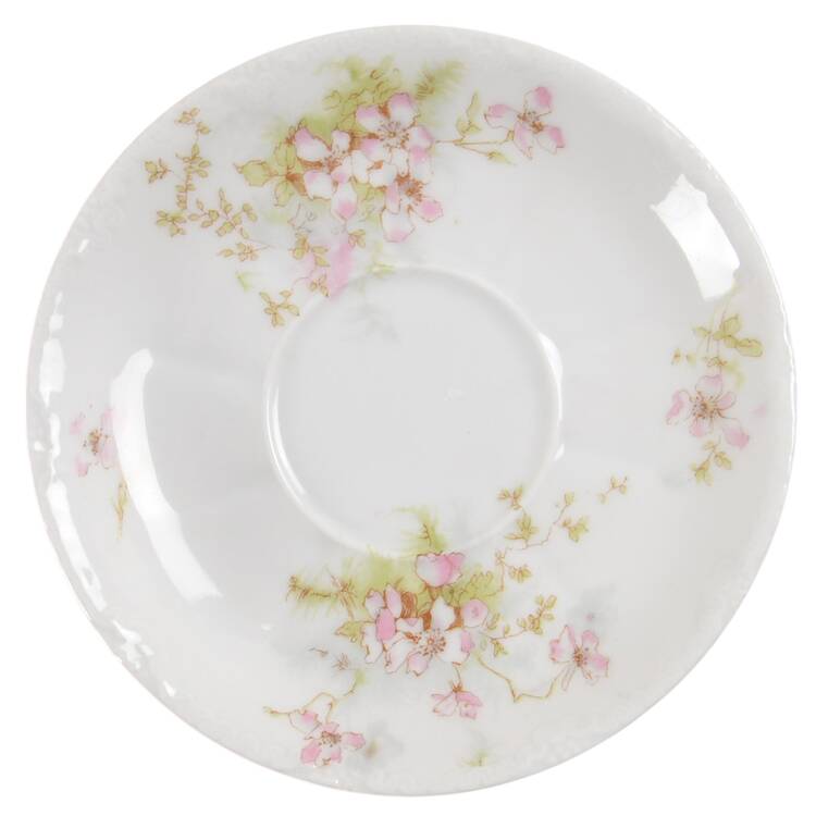 Schleiger 146E Saucer
