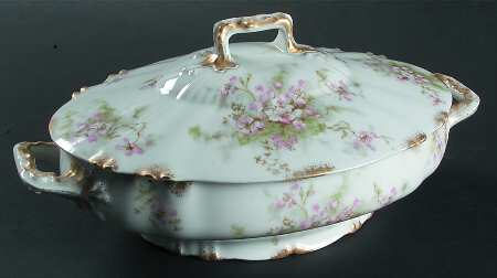 Schleiger 146h by Haviland