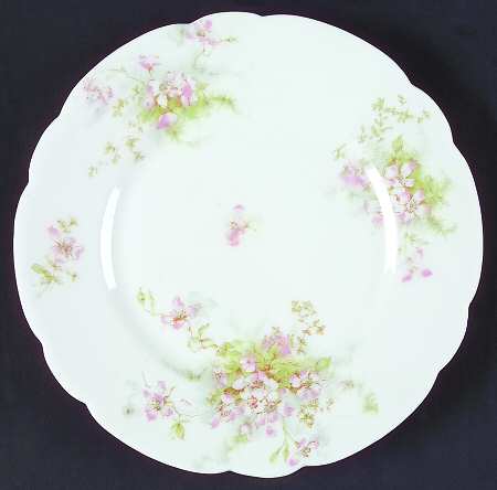Schleiger 146i  by Haviland