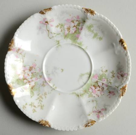 Schleiger 146O Saucer