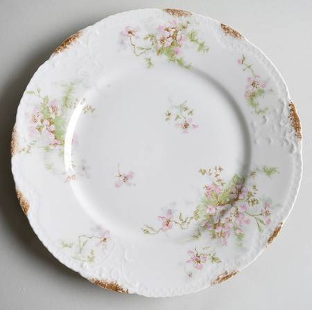 Schleiger 146O Luncheon Plate by Haviland