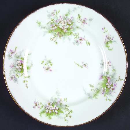 Schleiger 146r by Haviland