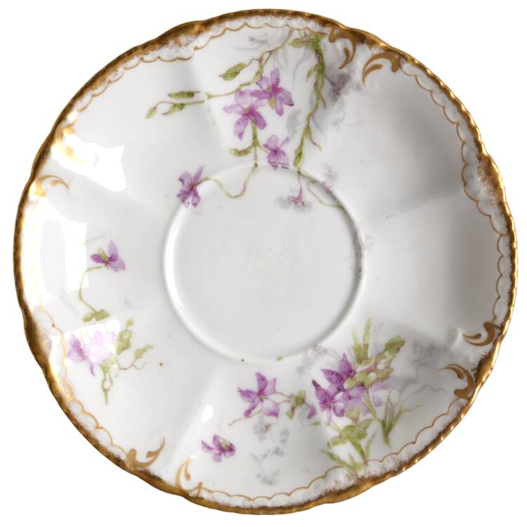 Schleiger 148b Saucer