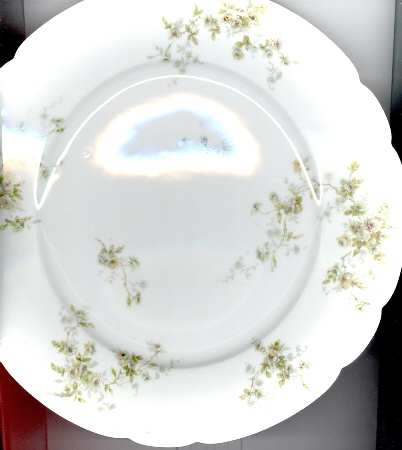 Schleiger 150A Dinner Plate