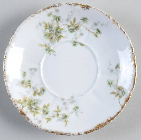 Schleiger 150b Saucer