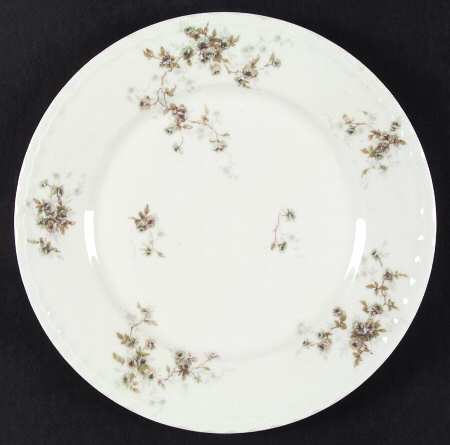 Schleiger 150EZ by Haviland