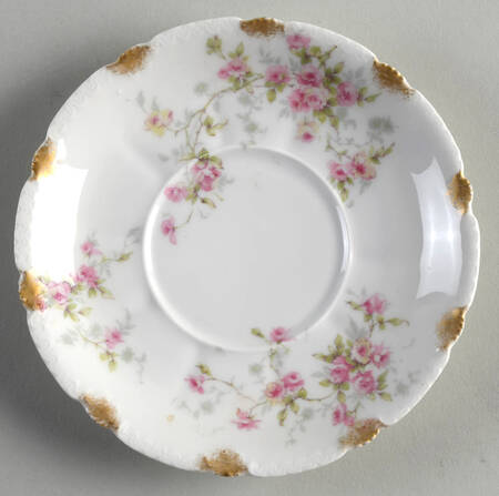 Schleiger 150J Saucer