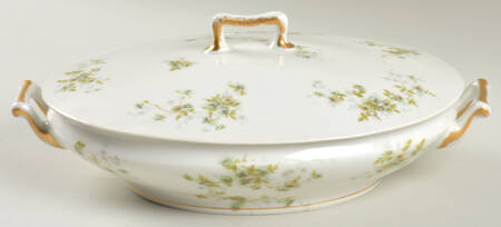 Schleiger 150W Oval Covered Vegetable