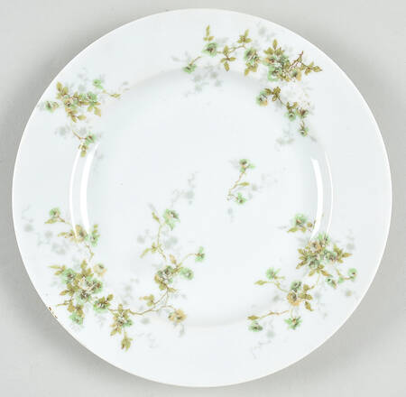 Schleiger 150W Salad Plate